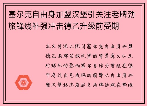 塞尔克自由身加盟汉堡引关注老牌劲旅锋线补强冲击德乙升级前受期
